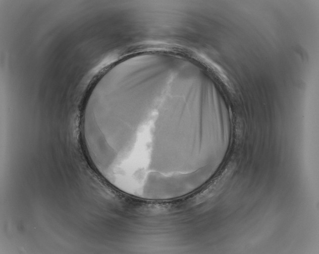 X0000111481411200908111151