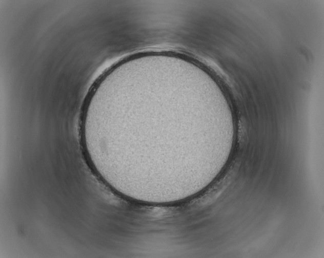 X0000111481412200908111151