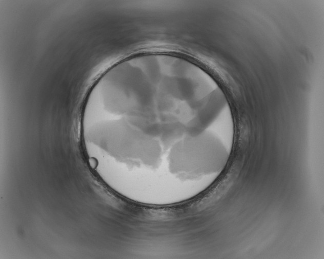 X0000111481413200908111151