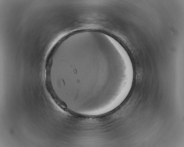 X0000111481414200908111151