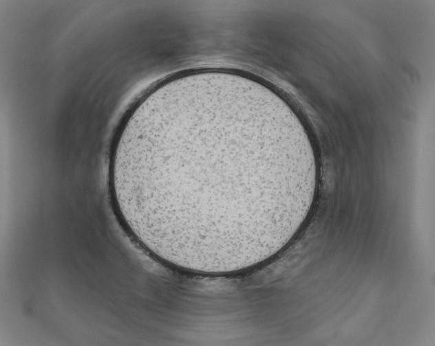 X0000111481416200908111151