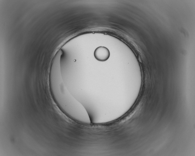 X0000111481417200908111151