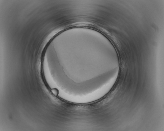 X0000111481418200908111151