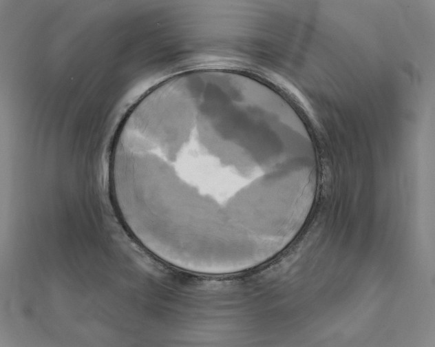 X0000111481419200908111151