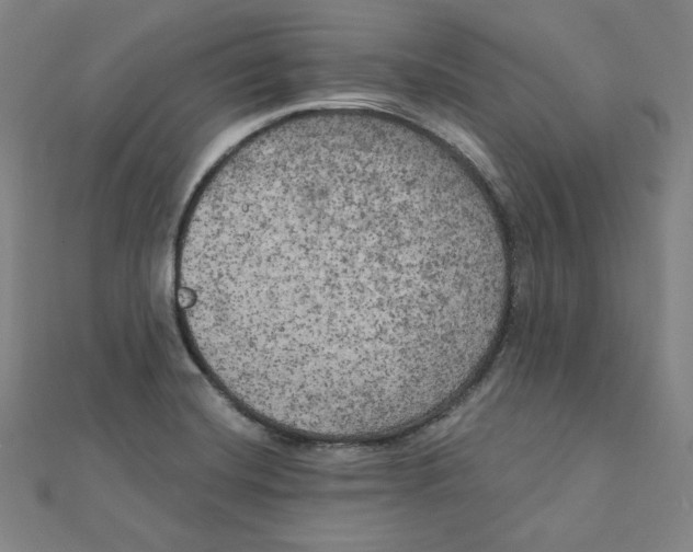 X0000111481420200908111151
