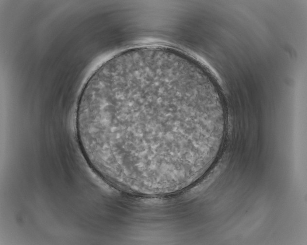 X0000111481421200908111151