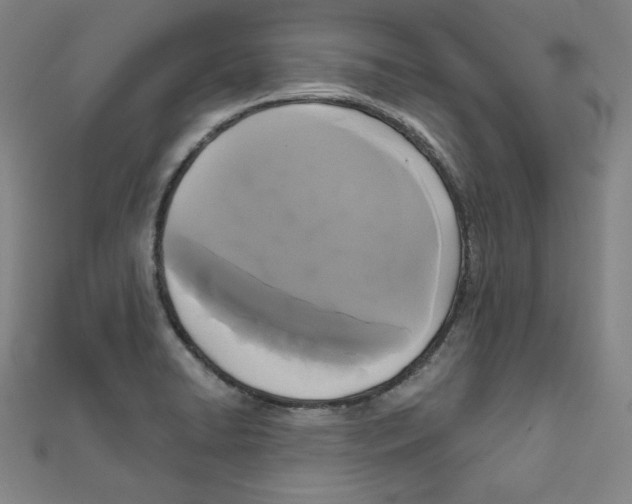 X0000111481422200908111151