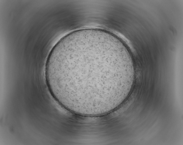 X0000111481423200908111151