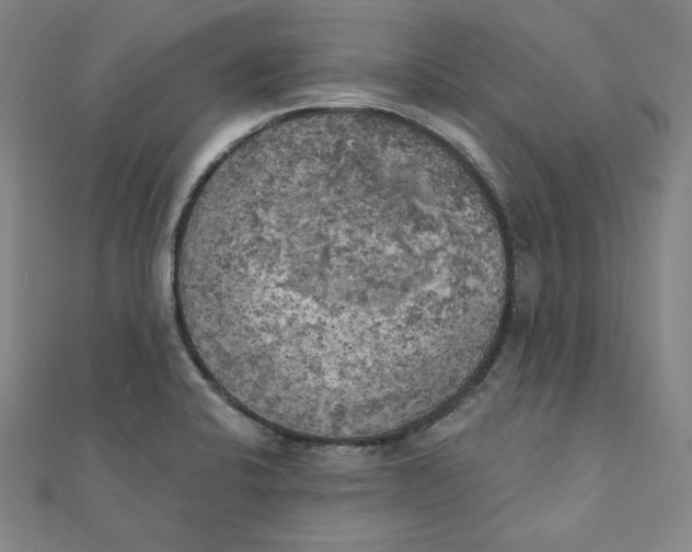 X0000111481424200908111151