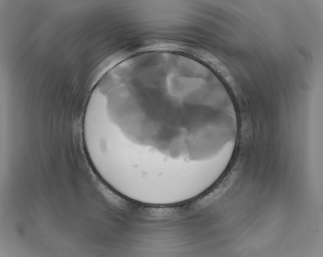 X0000111481425200908111151