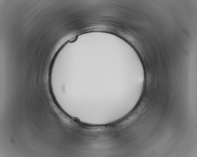 X0000111481426200908111151