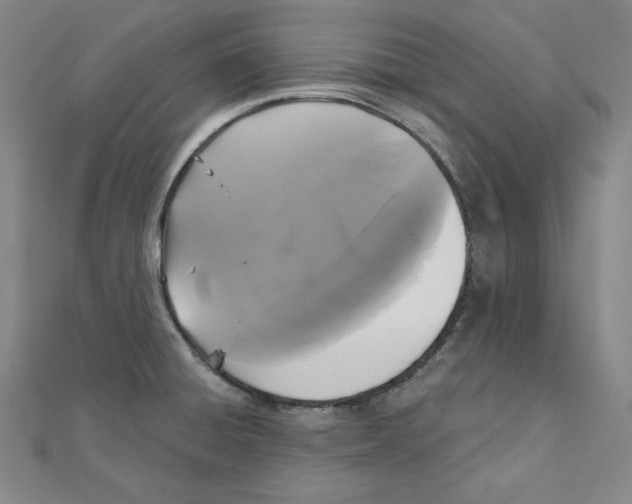 X0000111481428200908111151