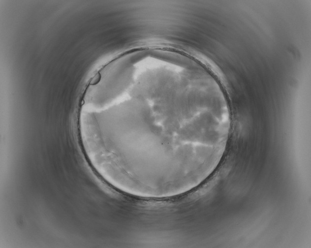 X0000111481429200908111151