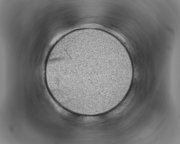 X0000111481430200908111151