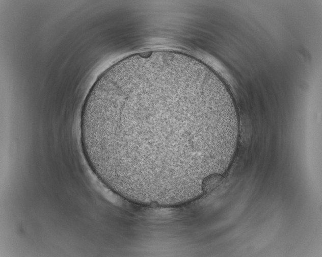 X0000111481431200908111151