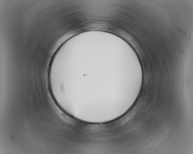 X0000111481434200908111151