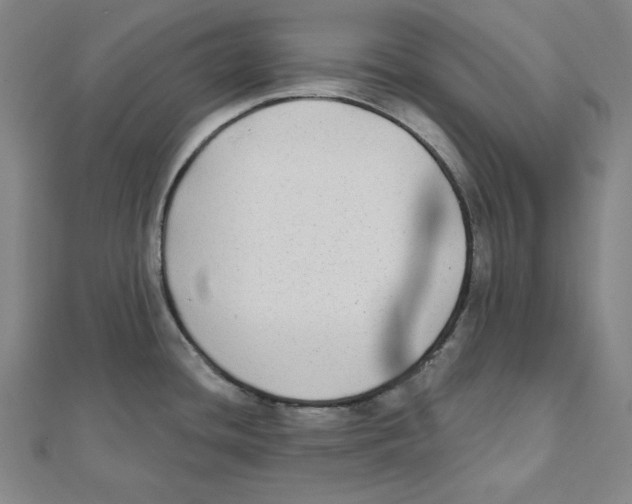 X0000111481436200908111151