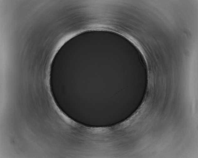 X0000111481437200908111151