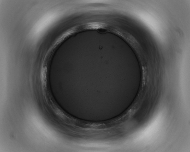X0000111481438200908111151