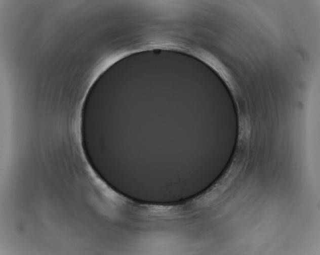 X0000111481439200908111151