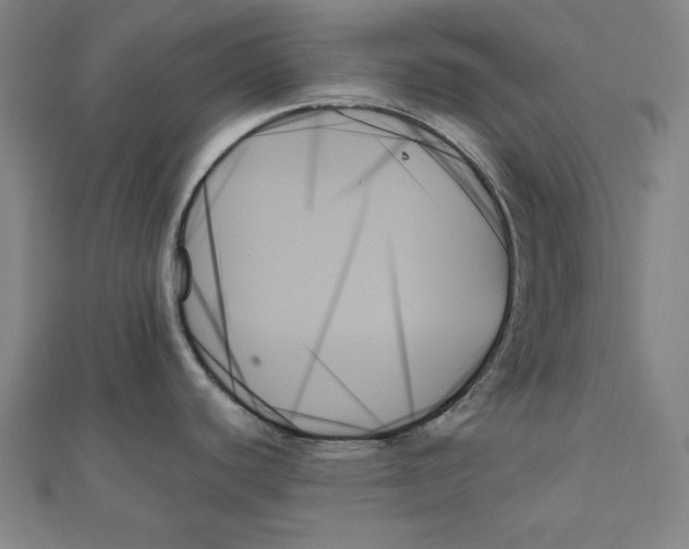 X0000111481440200908111151