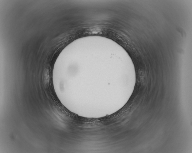 X0000111481442200908111151