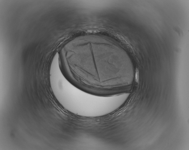 X0000111481444200908111151