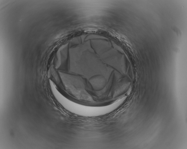 X0000111481445200908111151