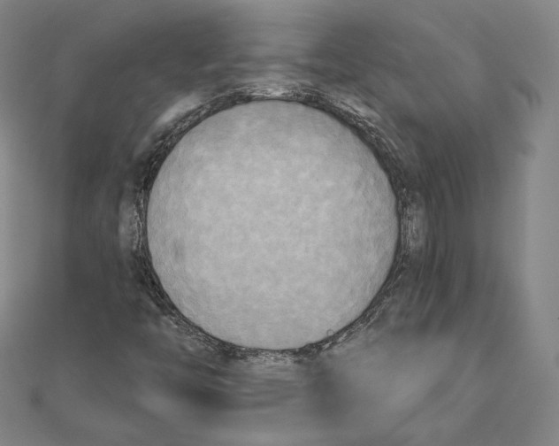 X0000111481446200908111151