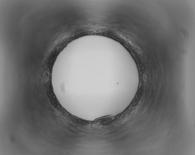 X0000111481447200908111151
