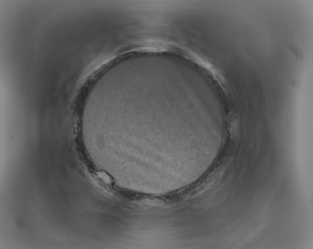 X0000111481448200908111151