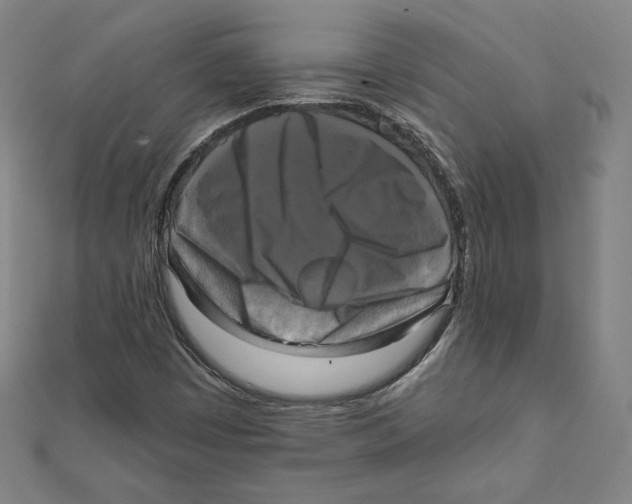 X0000111481449200908111151