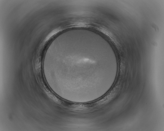 X0000111481450200908111151