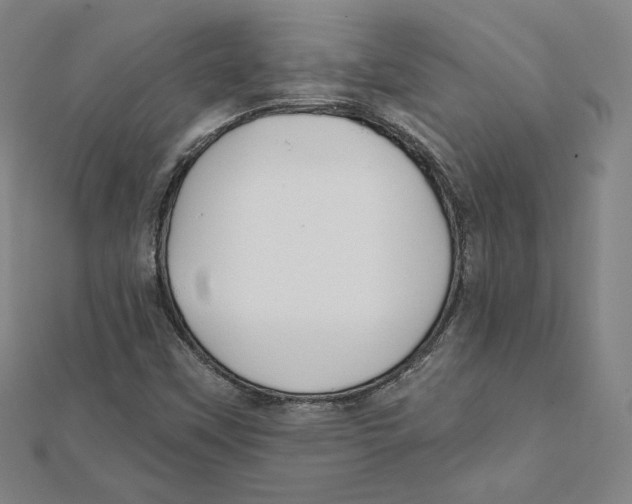 X0000111481451200908111151