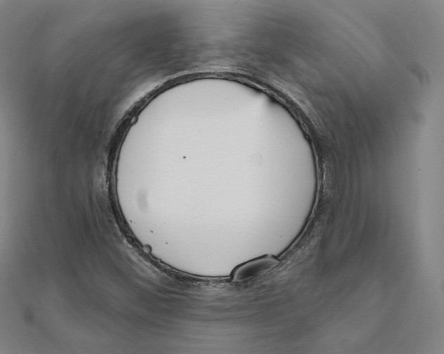 X0000111481452200908111151