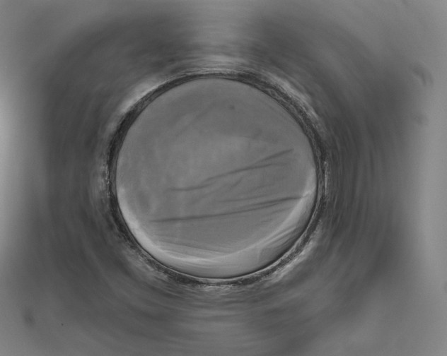X0000111481453200908111151