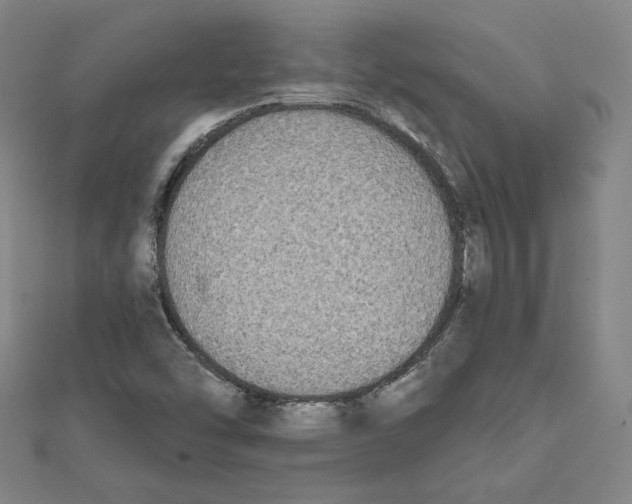 X0000111481454200908111151