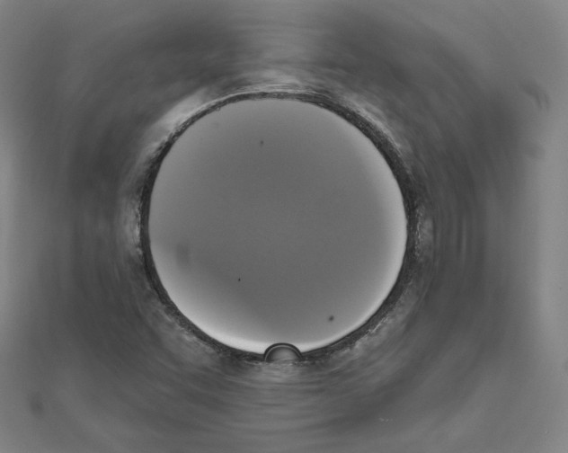 X0000111481455200908111151