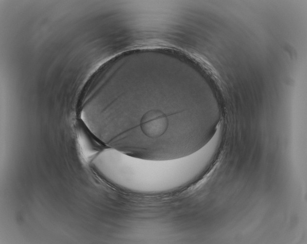 X0000111481457200908111151