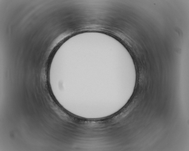 X0000111481458200908111151
