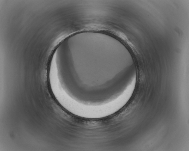 X0000111481459200908111151