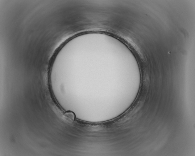 X0000111481460200908111151