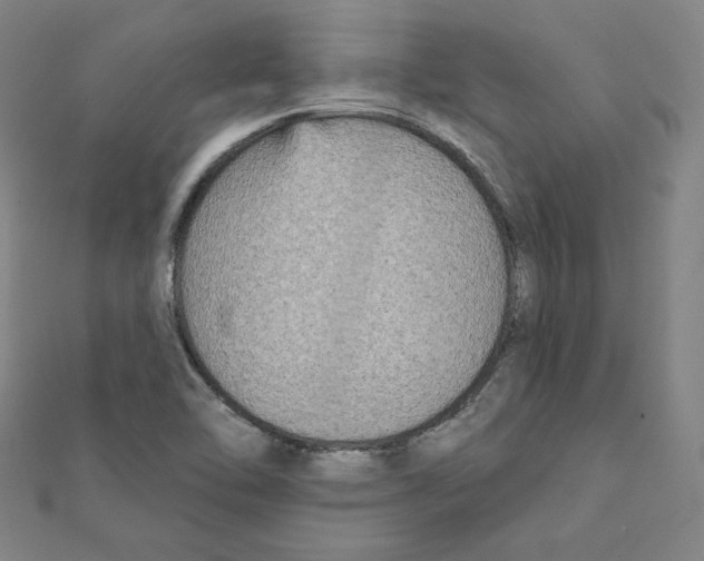 X0000111481462200908111151