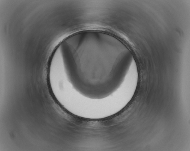 X0000111481463200908111151