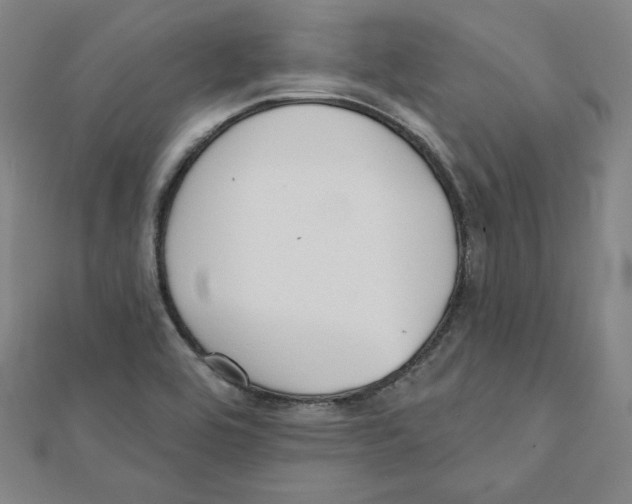 X0000111481464200908111150