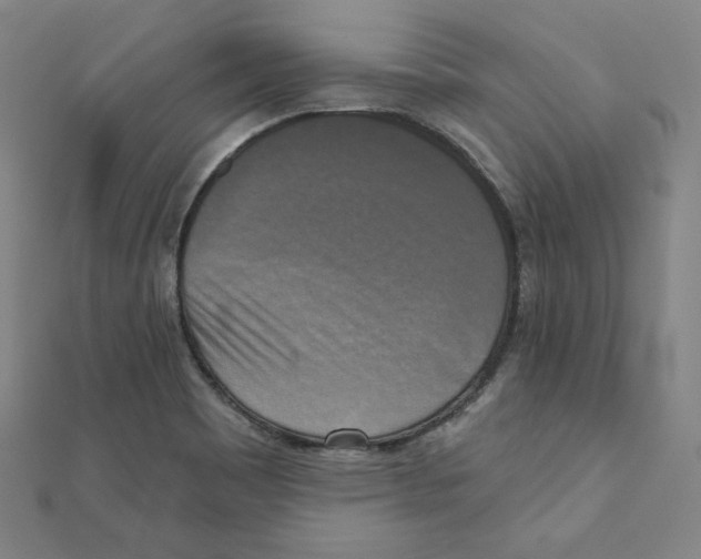 X0000111481465200908111150