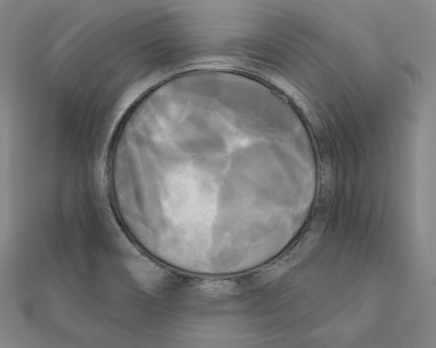 X0000111481466200908111150