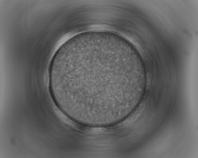 X0000111481467200908111150