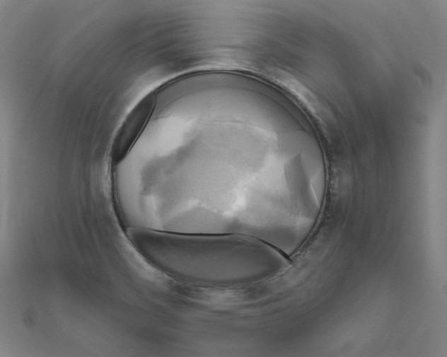 X0000111481468200908111150