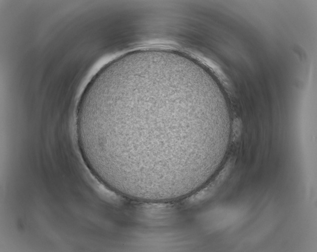 X0000111481470200908111150